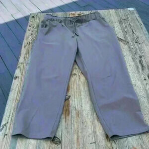 Joie taupe jogger style pants size large